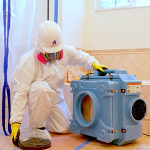 Cleaning and repair